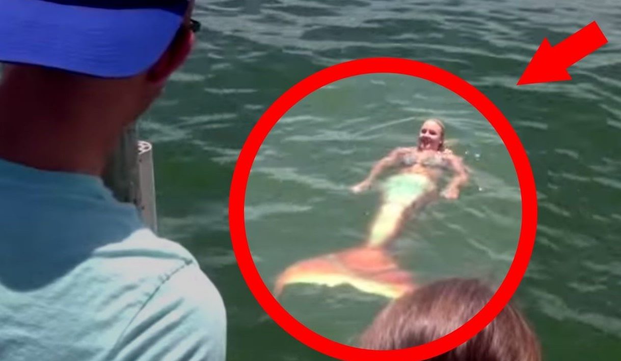 Female passenger sees backstroking mermaid