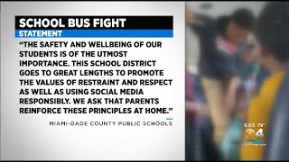 2 Black boys attack young white girl on a school bus